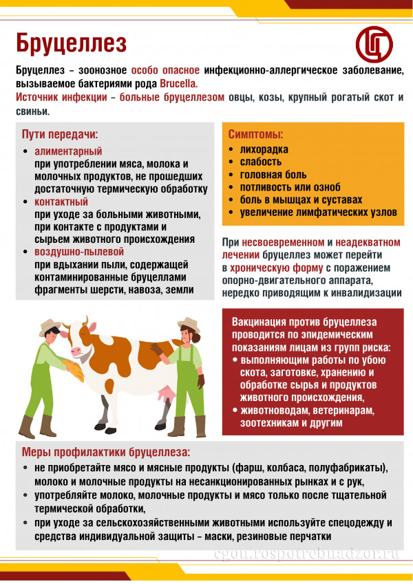 pamyatka-brucellez_p1