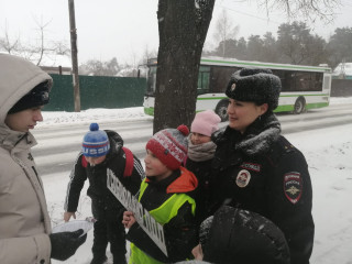 в г. Ярцево сотрудники Госавтоинспекции совместно с отрядом ЮИД и «Родительским патрулем», провели акцию: «Внимательный пешеход!» - фото - 9