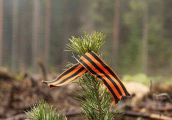 посадка деревьев в рамках эколого-патриотического проекта «Лес Победы» - фото - 1