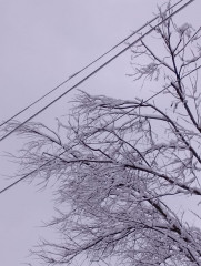 энергетики «Смоленскэнерго» готовятся к работе в условиях непогоды - фото - 1