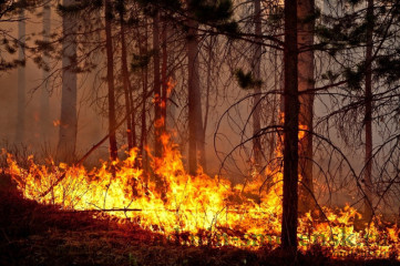 информация о складывающейся обстановке с пожарами и их последствиями на территории муниципального образования «Ярцевский муниципальный округ» Смоленской области - фото - 1