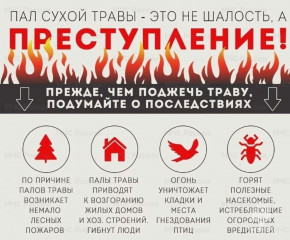 не жгите траву - фото - 1